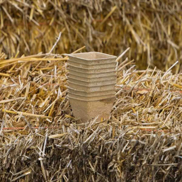 Bulk garden supply pulp pots. Pack of 10 6cm and 8 cm Darlington Gardens Ontario