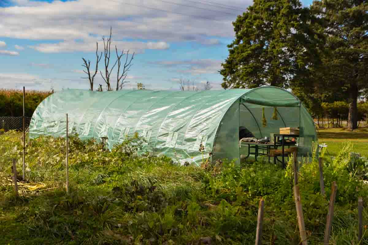 small and medium sized Greenhouse 10m x 3m Ontario