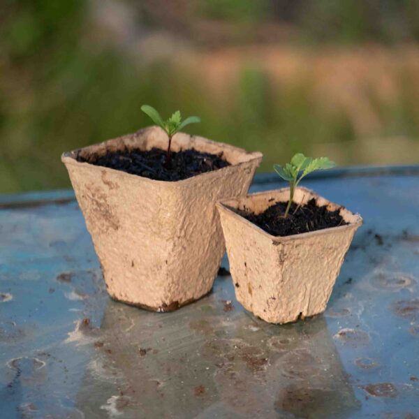 Bulk garden supply pulp pots. Pack of 10 6cm and 8 cm Darlington Gardens Ontario