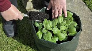 Darlington Gardens affordable grow bags, plant trays, nursery pots, seeding trays, greenhouses. Our Canadian company, Durham region, Bowmanville