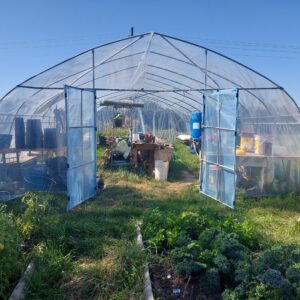 High Tunnels